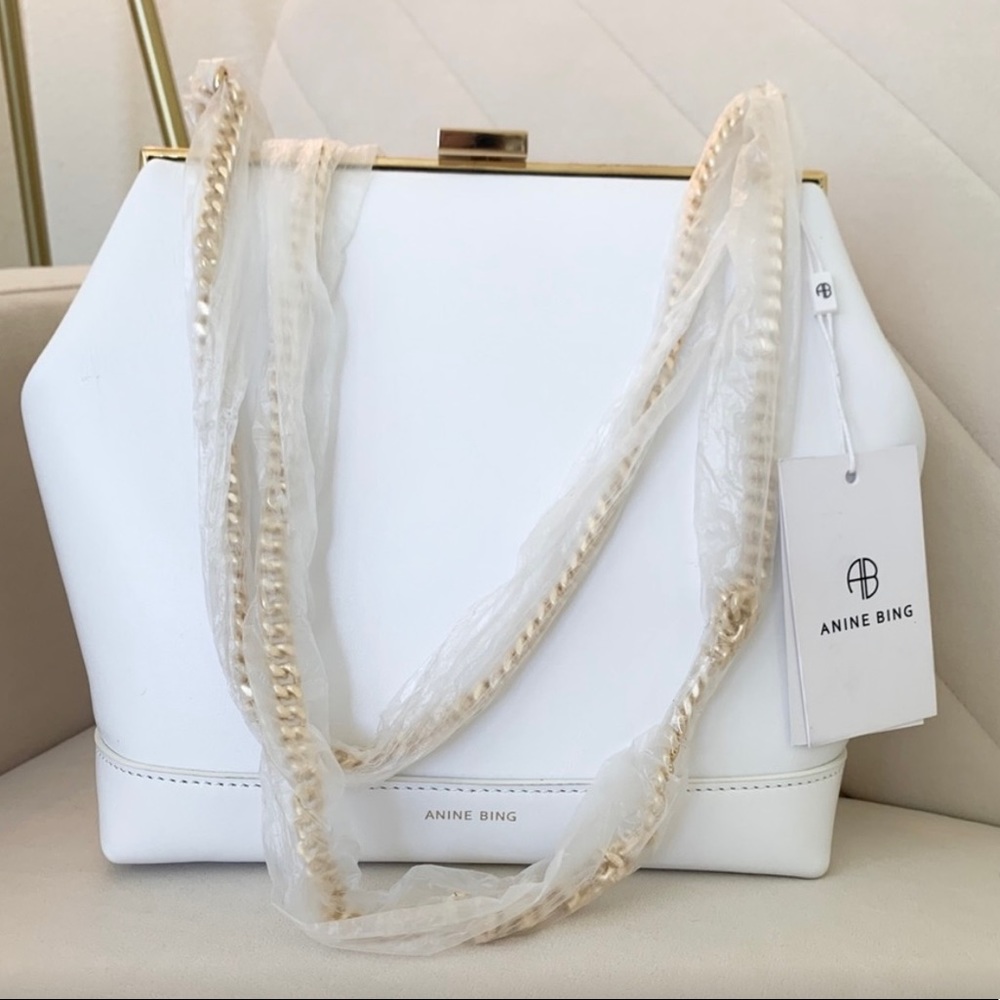 BRAND NEW Anine Bing “Noah” bag. Still in original packaging.